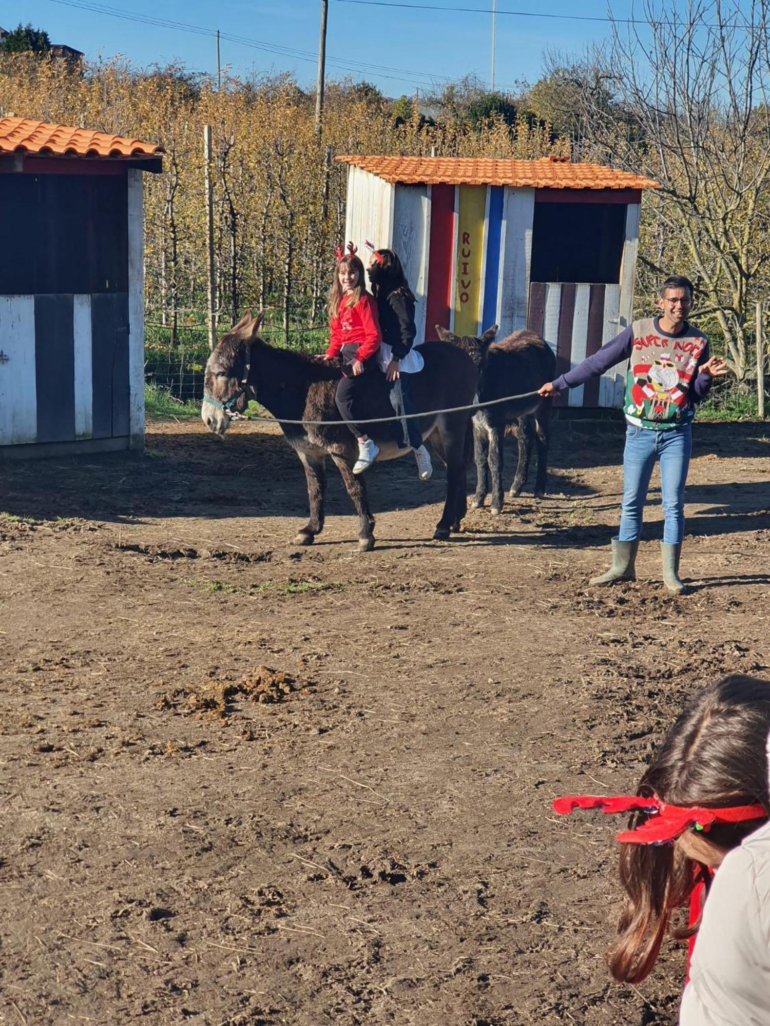 Gojim Casa Rural Armamar Esterno foto
